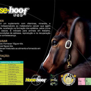 horse-hoof-1